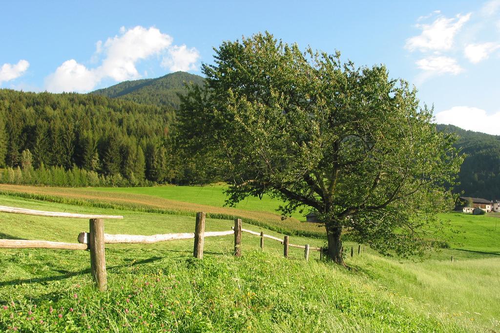 Spisserhof Chiusa Luaran gambar