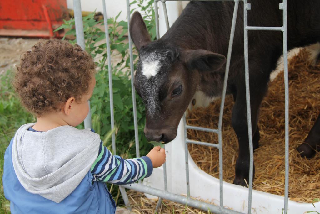 Spisserhof Chiusa Luaran gambar