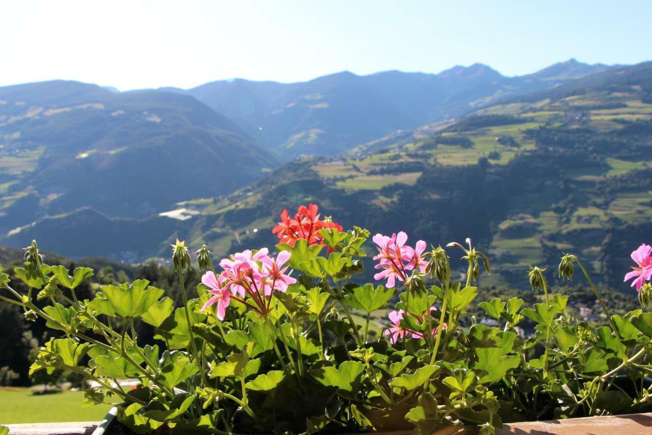 Spisserhof Chiusa Luaran gambar